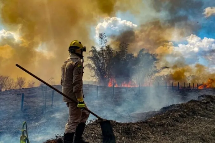 Setembro começa com 86 focos de queimadas registrados no Acre, segundo o Inpe